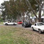 DSC_0128_00075 (June 04, 2023)